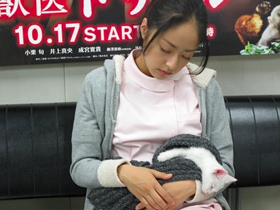 Juui Dolittle blog Inoue Mao