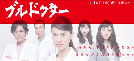Bull Doctor