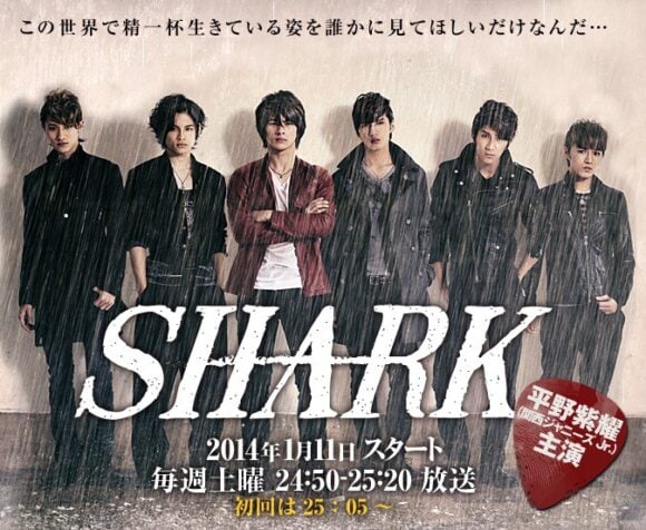 SHARK