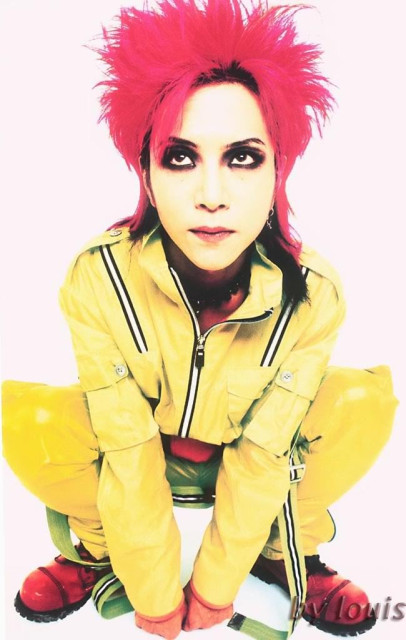 Hide