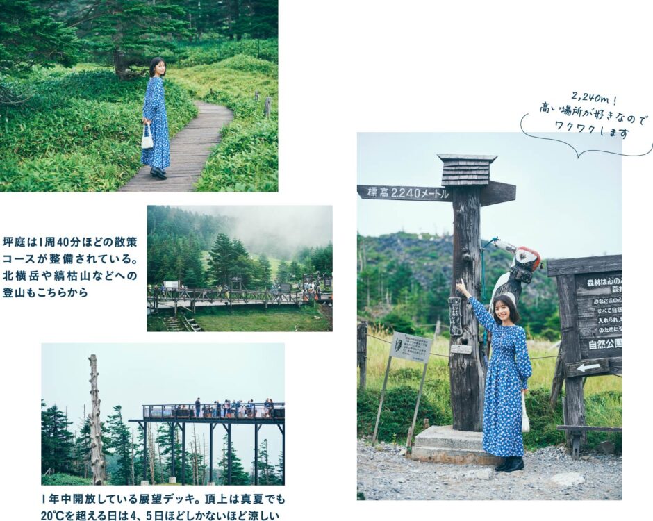 img03 (1)