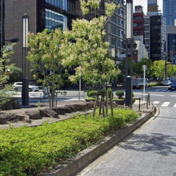 Pedestrian walkway in the center median of Shintora-dori